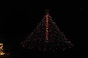 IMG_1191